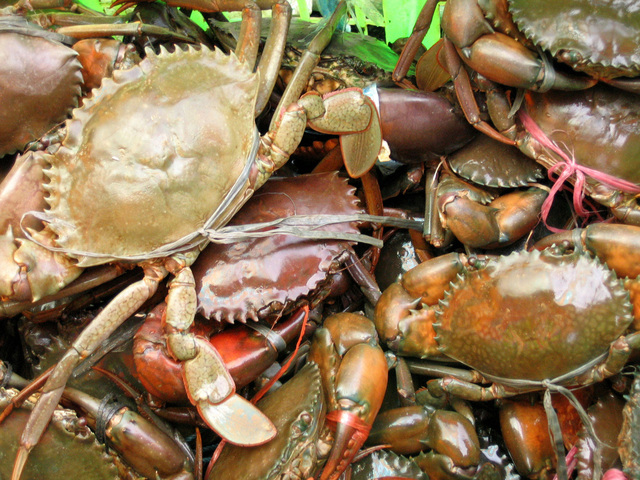 胖哥倆肉蟹煲又出事？這次是北京店啦