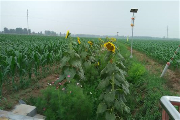 便攜式食品安全檢測儀在餐飲業(yè)中的應用