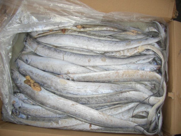 水產(chǎn)品藥物殘留快速檢測(cè)儀