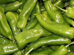 食品安全快速檢測儀廠家哪家好？