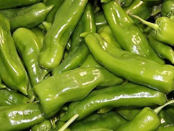 食品安全檢測儀廠家哪家好？