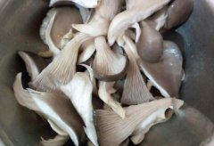 食品重金屬檢測儀：蘑菇喜歡富集重金屬？