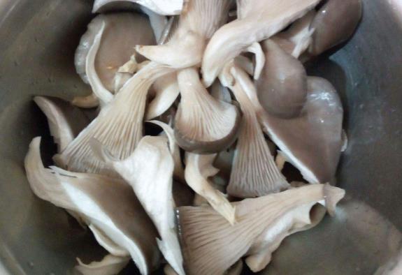 食品重金屬檢測儀：蘑菇喜歡富集重金屬？