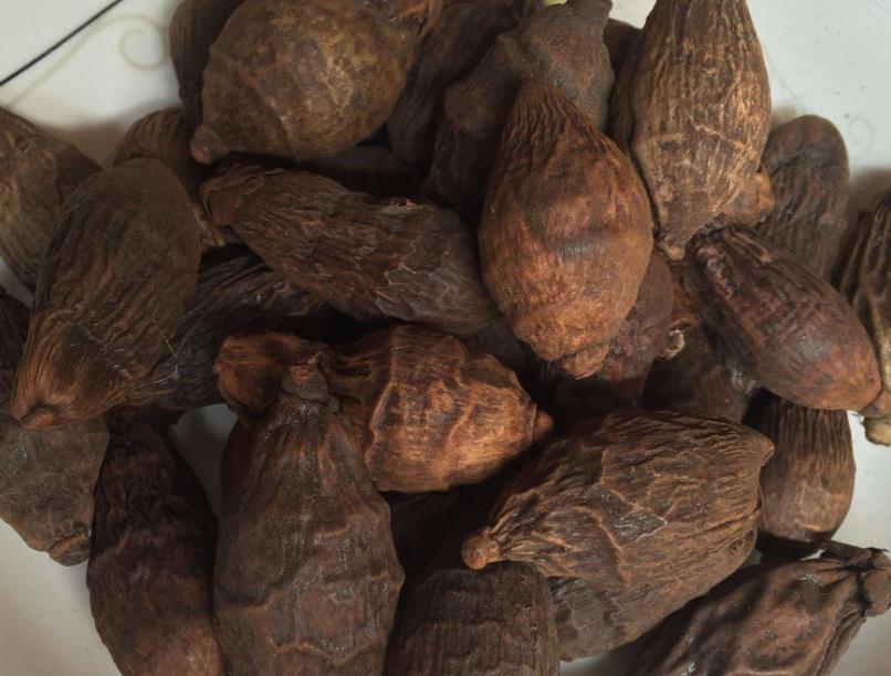 致癌陰影下，還能不能嚼檳榔了？