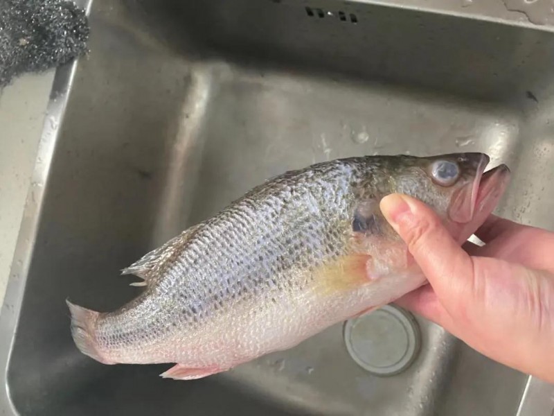 “活魚變死魚”，好一出瞞天過海！