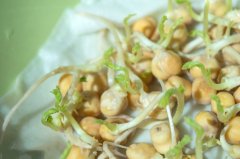 豆芽屬于食品還是食用農(nóng)產(chǎn)品呢？