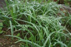 上海公布2021年第25期食品安全抽檢信息，3批次食品不合格