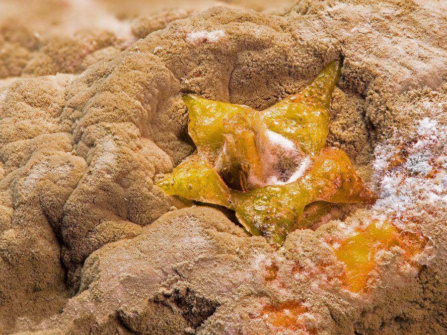 這3種物質(zhì)具有強(qiáng)致癌性，一定要遠(yuǎn)離！