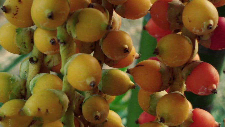 這3種物質(zhì)具有強(qiáng)致癌性，一定要遠(yuǎn)離！