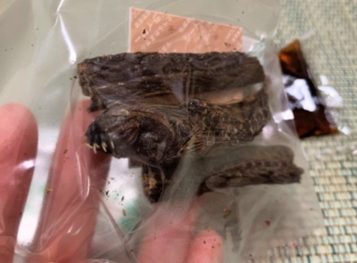 看著“可怕”的食物，其實味道還不錯~